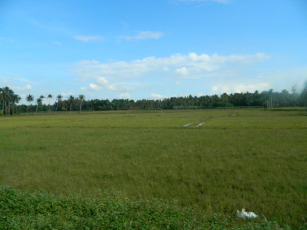 Zamaraya Bed & Breakfast Angamali Buitenkant foto